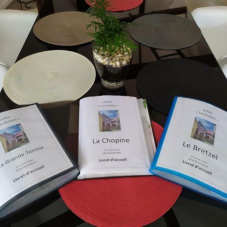La Grande Terrine - Gites Les Potiers Kaysersberg-Vignoble Ngoại thất bức ảnh
