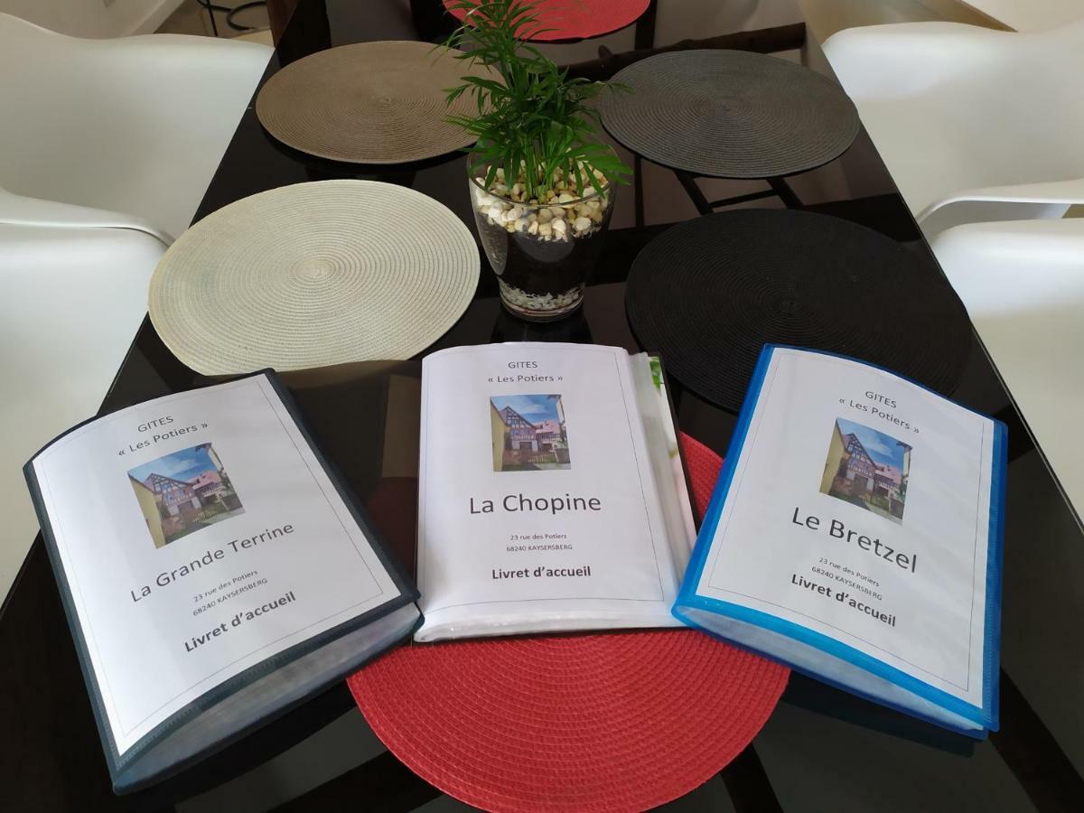 La Grande Terrine - Gites Les Potiers Kaysersberg-Vignoble Ngoại thất bức ảnh