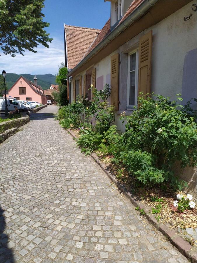 La Grande Terrine - Gites Les Potiers Kaysersberg-Vignoble Ngoại thất bức ảnh